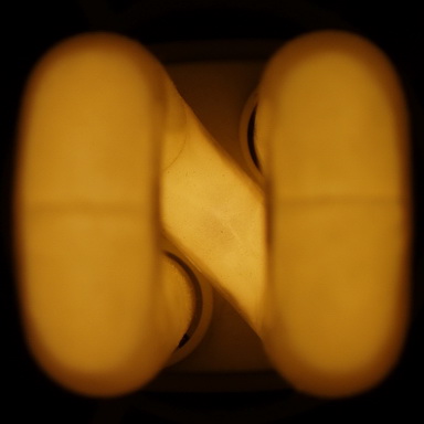 noxa