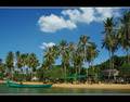 Rabbit Island