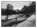 Maksimir