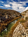 Cetina