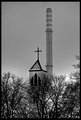 jedna s Trešnj…