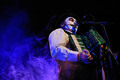 Tiger Lillies