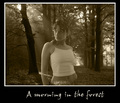 A morning in f…