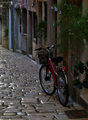 Crveni