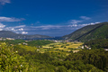 Lucici