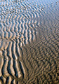 Sand in the be…