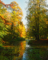 Arboretumska e&hellip;