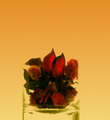 Potpourri in W&hellip;