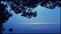 mood indigo