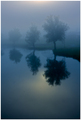Foggy Mornin&#…