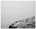 Pag, samoća