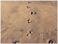 FootPrint