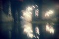 Crispy Rain
