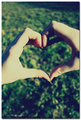 love is all we…
