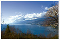 pogled