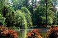 maksimir