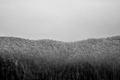 fotogenična šu…