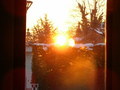 suncheko2