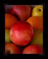 FruitOfTheLoom