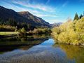 Sava Bohinjka