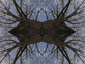 Kaleidoskop