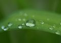 Raindrops keep…
