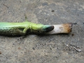 pušenje je šte&hellip;
