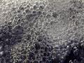 thought bubbles