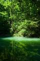 Krka 1
