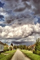 after the rain…