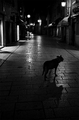 tako lijepa,a …