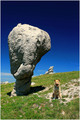 crna marica, j…