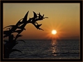 Dobro ti jutro…