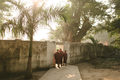 Myanmar Monks