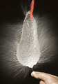 blow up!