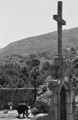Svirće