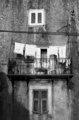 dalmacija