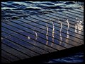 drops