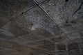 reflex 1