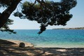 pogled 1