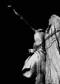 statua na grob&hellip;