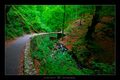 Deep forest