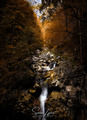 Sava Bohinjka …