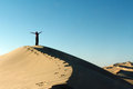 desert rose