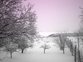 pogled iz moje…