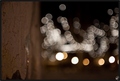 Tree's vi…