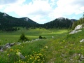 Veliki Lubenov…