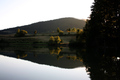 Slatke refleks…