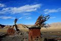 Old Tingri, Ti&hellip;