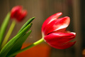 Divan